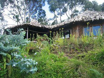 Mount Kilimanjaro View Lodge Moshi Zewnętrze zdjęcie