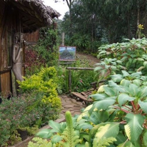 Mount Kilimanjaro View Lodge Moshi Zewnętrze zdjęcie
