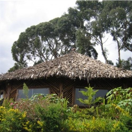 Mount Kilimanjaro View Lodge Moshi Zewnętrze zdjęcie