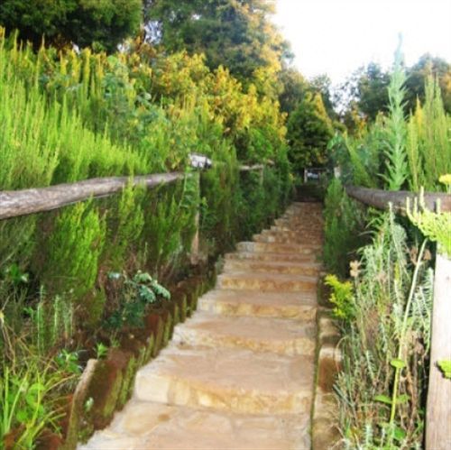 Mount Kilimanjaro View Lodge Moshi Zewnętrze zdjęcie