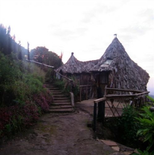 Mount Kilimanjaro View Lodge Moshi Zewnętrze zdjęcie